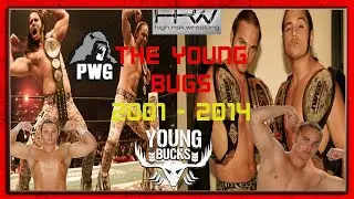 The Young Bucks: 💪⚡De las Independientes al Estrellato Internacional | Biograf&iacute;a en el Cuadril&aacute;tero