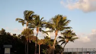 Visit at Bill Baggs Cape Florida State Park