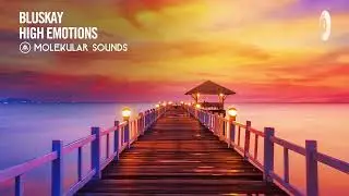 Bluskay - High Emotions [Molekular Sounds] Extended