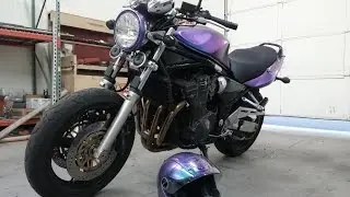 Plasti Dip Suzuki Bandit 1200 Alien Dip Pearl RL-71