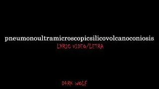 Pneumonoultramicroscopicsilicovolcanoconiosis - XAVLEG (lyric video)