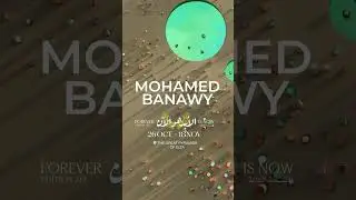 CulturVator by Art D&rsquo;&Eacute;gypte | Meet The Artist - Mohamed Banawy | تعرف على الفنان&nbsp;-&nbsp;محمد&nbsp;بناوي