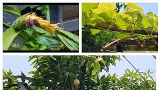 My daily blog part 48#food #travel#vlog
