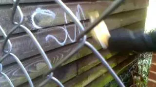 GRAFFING 07/02/09 2