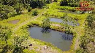 CHACARA 2 HECTARES COM 10 TANQUES DE PEIXE TERENOS MS BRASIL