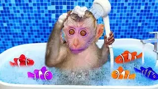 Bin Monkey bath in bathroom with duckling and play with kitten.
