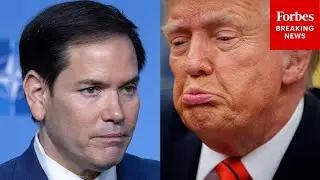 Marco Rubio Acknowledges Trump Had A 'Verbal Stumble' When Talking About Iceland And Greenland