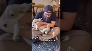 Почему мой кофе до сих пор не доставили? 🤨☕️