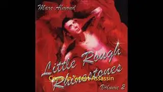 Marc Almond & The Phantom Chords ~ Come In Sweet Assassin