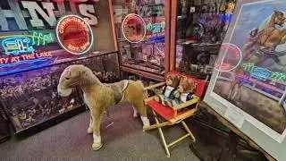 17) World's Largest Largest Toy Museum (9/23/2023)
