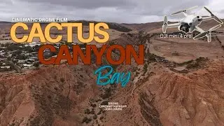 Cactus Canyon Bay | Cinematic Drone Film at Sellicks Hill (DJI Mini 4 Pro 4K)