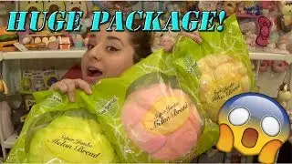 MASSIVE CREAMIICANDY PACKAGE!