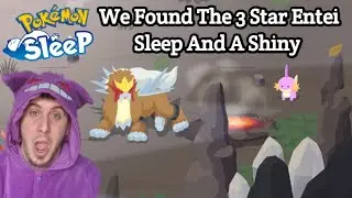 We Found The 3 Star Entei Sleep And A Shiny | Pokemon Sleep (Session 786 & 787)