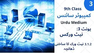 Point to point and multipoint connection class 9 ch 3 urdu medium