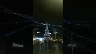 Burgas Christmas tree