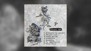 Sfantu'Opt - Pagini noi