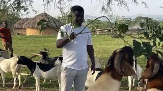 How to Identify Professionals to work on your farm
