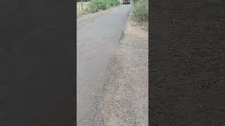 KANKAVLI - MASURE ST BUS | LALPARI | STATE TRANSPORT | KONKAN QUEEN | ST BUS LOVERS | MALVAN MASURE