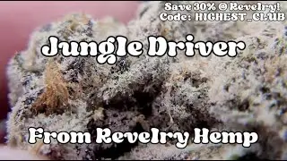Revelry Hemp - Jungle Driver - STRONG Thca Flower Review & Macro Shots