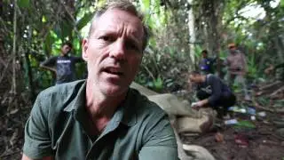 Saving Sumatran Elephants