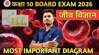 part 2 जीव विज्ञान | MOST IMPORTANT DIAGRAM |  Up Board exam 2026