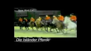 Die Isl&auml;nder Traumpferde!!!