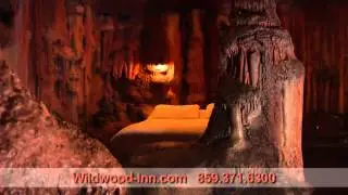 Wildwood Inn Tropical Dome & Theme Suites