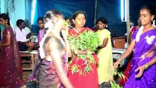 Amman villisai 4