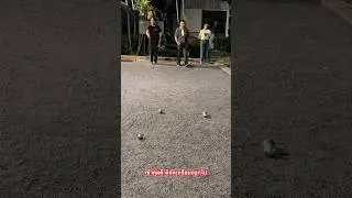 เข้าคุมดี ตีคัดเหลี่ยมออกไป #petanque #เปตอง #p&eacute;tanque #เปตองบ้านๆ