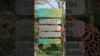 Fun Facts &mdash; 3 Nature Facts That Prove It&rsquo;s Next-Level Weird! 🌳🧠 #shorts #NatureFacts