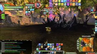 Rift - PvP - 49 Warrior  - Straight hardcore, Heals /  DPS / AOE / DD / Manuaveurabiliy.