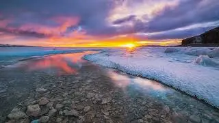 Flutter University Live Stream