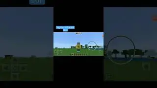 My new VG skin in minecraft.