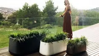 10 Modern Indoor Plant Pots that will Dress Up a Home