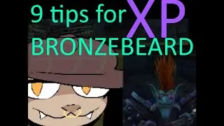 9 and HALF Tips to make you a better Bronzebeard Ascension Wow gamer!