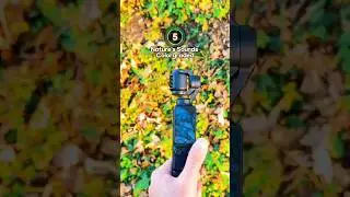 DJI Osmo Pocket 3 | Video to Audio detail | Raw vs Colorgraded | Nature's Sounds #shorts
