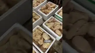 Фуа-гра: красота или брутальность? #фуа-гра #jasfarm #шорты