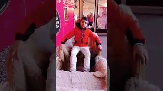 hy o zi făină,pupici cu 🐻