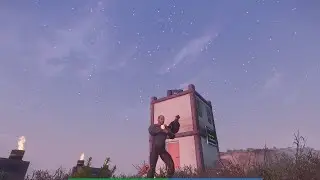 Next Island прохождение Daily Stalker Challenge. Отдача и Лут (CRP23)
