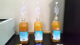 Simple Small Batch Hard Cider