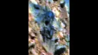Mars Templar Stone, Anomalies, Curiosity Rover