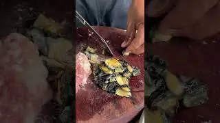 Fresh Water Snails Noodle Soup 02