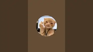 Day 1 live streaming