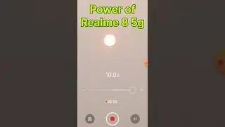 Realme 8 5G Smartphone Camera Test: Performance Review and Sample Shots
