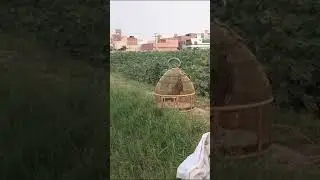 Kala Teetar Awaz - Teetar Ki Awaz - Kala Tetar Awaz - Black Partridge Voice #teetar #teetarkiawaz 