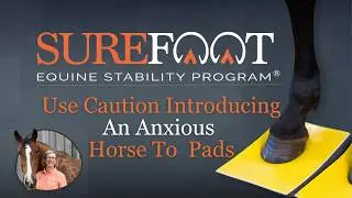 Use Caution Introducing An Anxious Horse To SURE FOOT Pads