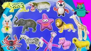 Animal Size Adventure! 🐭🐘 | Giant Wild Animals & Sea Creatures | Educational Video for Toddlers