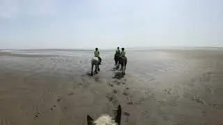 Beach ride at Marros riding centre, Pembrokeshire UK