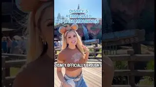 Splash Mountain RETURNS&hellip; And It&rsquo;s Stunning! 🌈🌊 #reels #disneyworld #disney #splashmountain #90s