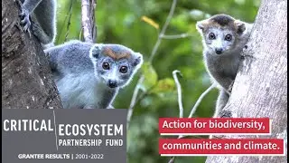 CEPF 2022 Impact Report Highlights